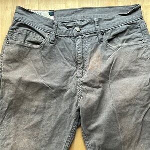 VGUC! Marine Layer Corduroy Pants